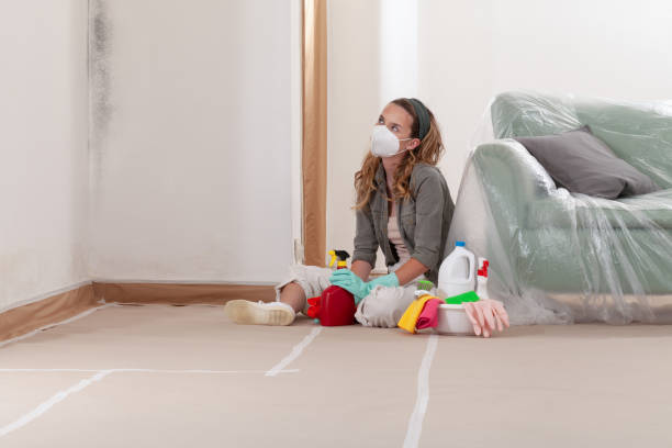 Reliable Mold Remediation contractor in Clarksburg, MD by Cheap Mold Removal